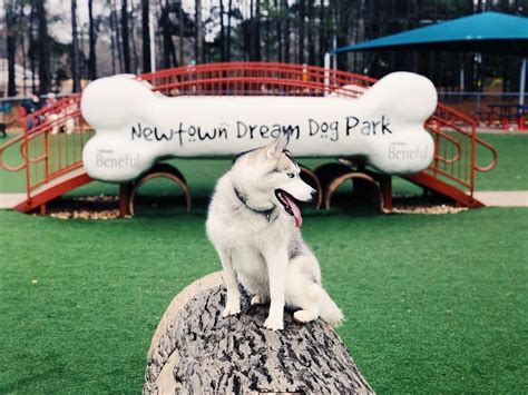 The Most Epic Dog Parks in the U.S. - BringFido