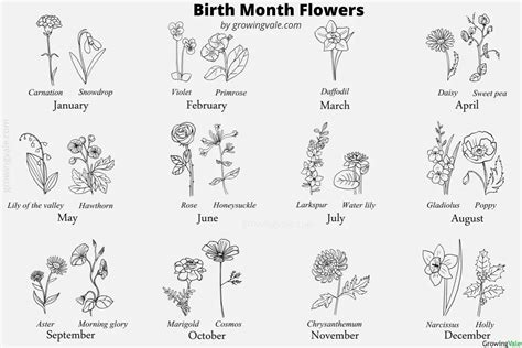 Birth Flowers By Month: Which Plants Represent Your Birthday? - Store