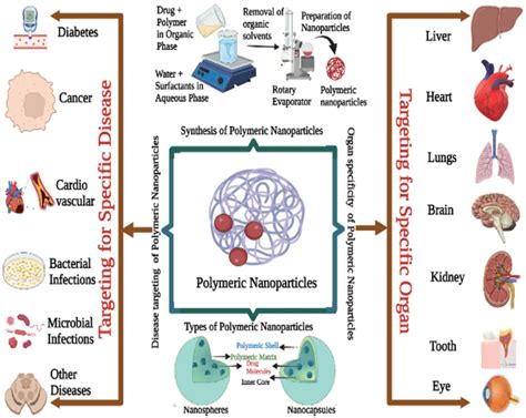 Synthesis and targetability of polymeric nanoparticles: The Figure 1 ...