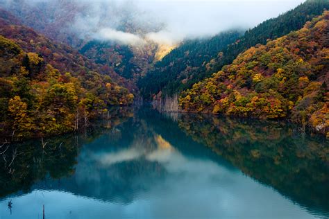 Hydrobiology – Water Quality Management - International Water Association