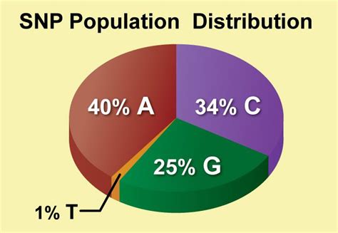 Making SNPs Make Sense | Science learning centers, Dna genealogy, Teaching resources