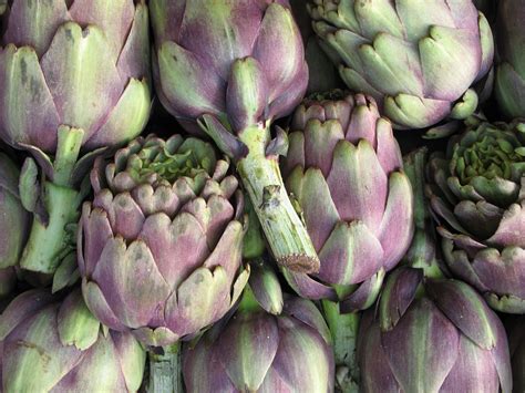 Violet Star Artichoke Seeds 25 Seeds // Heirloom Non GMO | Etsy in 2021 | Artichoke, Planting ...