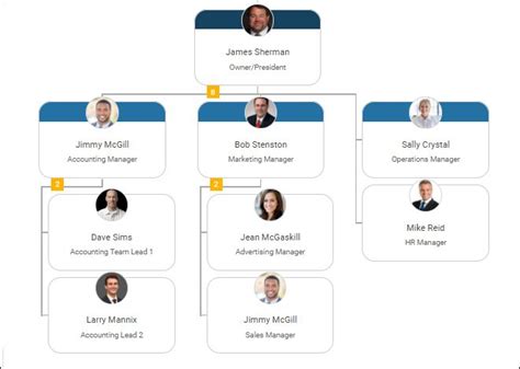 7 Types of Organizational Structures +Examples, Key Elements - Whatfix ...