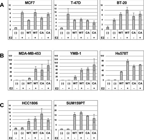 The luciferase assay with various BC cell lines. The luciferase assay... | Download Scientific ...