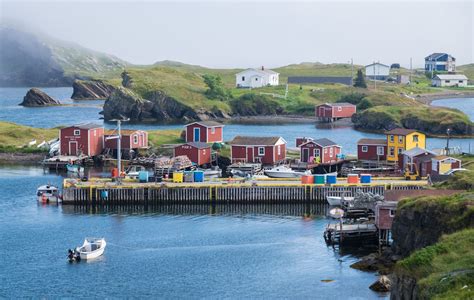 Travel to Newfoundland, Canada, and You'll Never Want to Leave ...