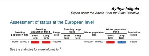 About Tufted Duck Breed And 5 Purposes! - FowlFamily