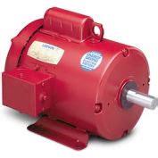 Leeson Motors Motor Electric Motors -2HP, 115/208-230V, 1740RPM, TEFC, Rigid Mount, 1.15 S.F ...