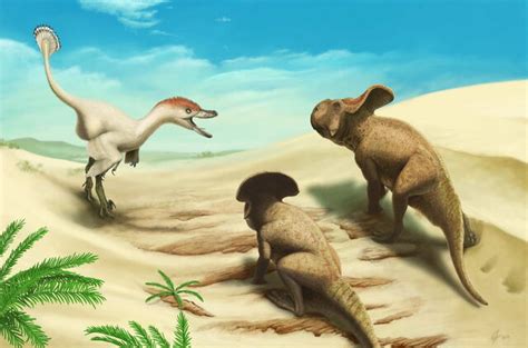 Image - Velociraptor Vs Protoceratops.jpg | Dinopedia | FANDOM powered by Wikia