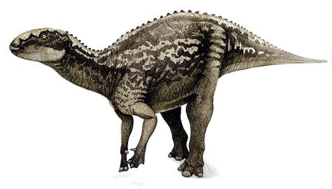 Fukuisaurus Pictures & Facts - The Dinosaur Database