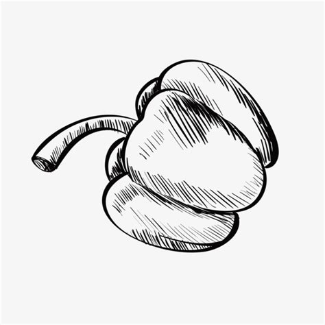 Green Pepper Drawing at GetDrawings | Free download