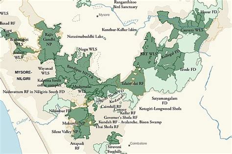 Wayanad Wildlife Sanctuary - Wikipedia