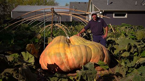 World record pumpkin to get carved at Mall of America | FOX 9 ...