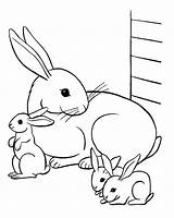 Rabbit Family  Rabbits & Bunnies Kids Coloring Pages sketch template