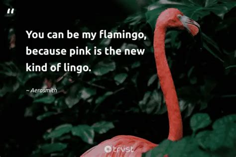 24 Flamingo Quotes & Sayings About These Fabulous Birds (2024)