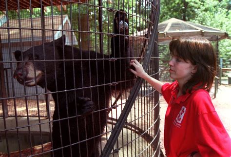 The Zoo in Forest Park through the years (Flashback Photos) - masslive.com