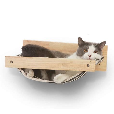 13 Cat Hammocks That Are Puurrfect for Your Feline BFF