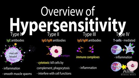 What Is A Type 4 Allergic Reaction? The 13 Latest Answer ...