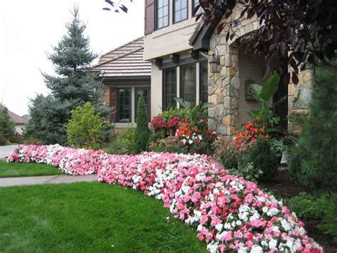 10 Types of Flowers For the Best Curb Appeal | Small front yards ...