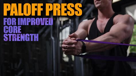 6 Pallof Press Muscles Worked & Simple Exercise Variations