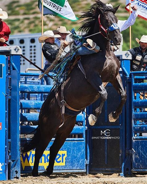 Pin on Bronc riding