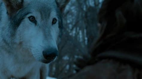 Image - Nymeria Stormborn.jpg | Game of Thrones Wiki | FANDOM powered ...