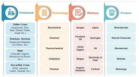 Evolution of the Bio-based Chemicals Market: Growth and Commercialization Strategies | Aranca