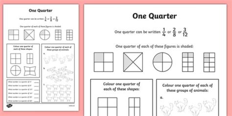 Fractions Quarters Activity Sheet - numeracy, place value