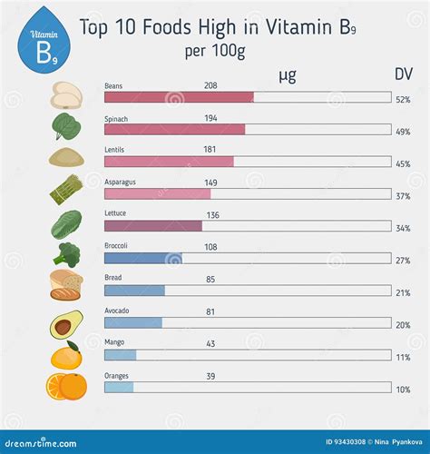 Vitamin B9 or Folic Acid Infographic Stock Vector - Illustration of broccoli, carrot: 93430308