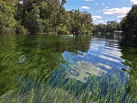 Rainbow River tubing & kayaking: Clear water makes it tops | Florida Rambler