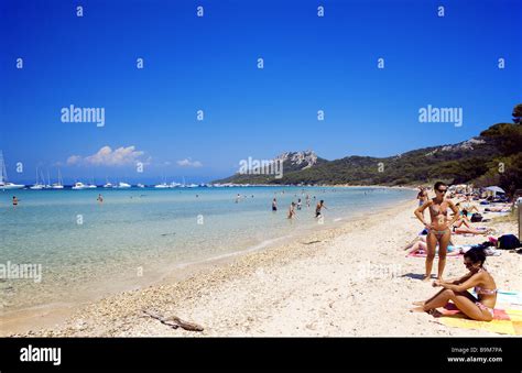 France, Var, Ile de Porquerolles, Plage Notre Dame Stock Photo ...