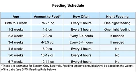 Baby Squirrel Feeding Chart