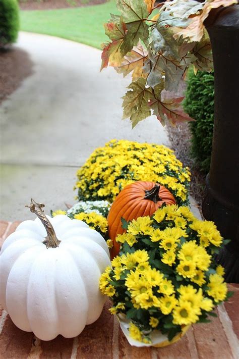 Fall Front Porch: Mums + Pumpkins - Refresh Restyle