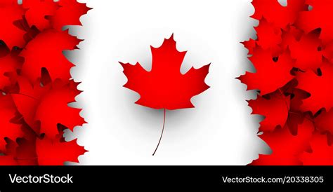 Flag of canada design concept Royalty Free Vector Image