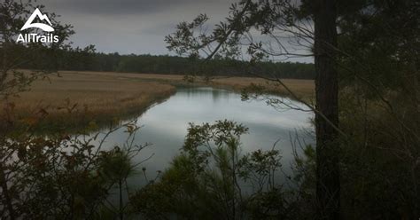 Best Trails in Francis Marion National Forest - South Carolina | AllTrails