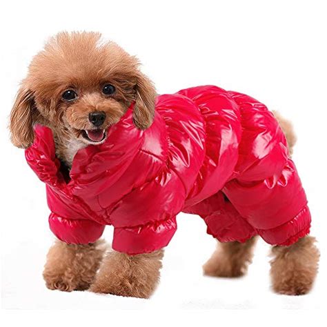 Best Yorkie Clothes And Outfits - Yorkie.Life