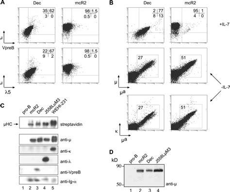 Pre-B cell lines that express the SL−pre-BCR. (A) FACS® analysis of the ...