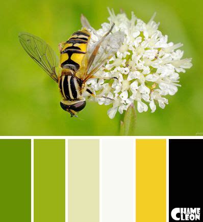 Color Palette, yellow, pale green, oyster white, medium green, lime, black. | Color palette ...