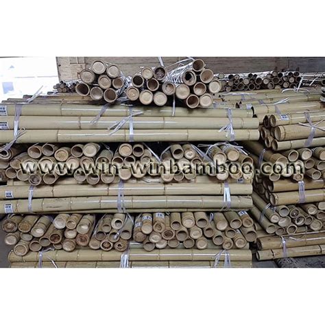 Moso Bamboo poles with label sticker in bundle