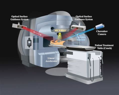 10 X-Rays Uses in Everyday Life – StudiousGuy