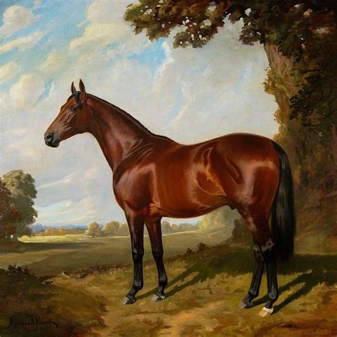 Image result for realistic horse paintings on canvas | Equestrian art, Horses, Horse artwork