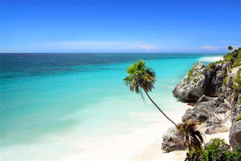 Tulum Beach Near Cancun, Mayan Riviera, Mexico Stock Image - Image of cancun, outdoors: 13616621