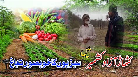 kathar dilawar khan | village food | village | kathar azad kashmir ...