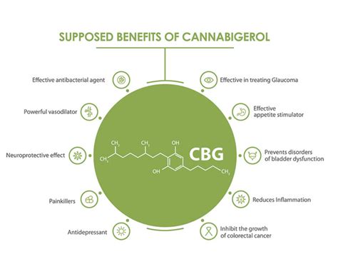 Cannabigerol and Its Benefits