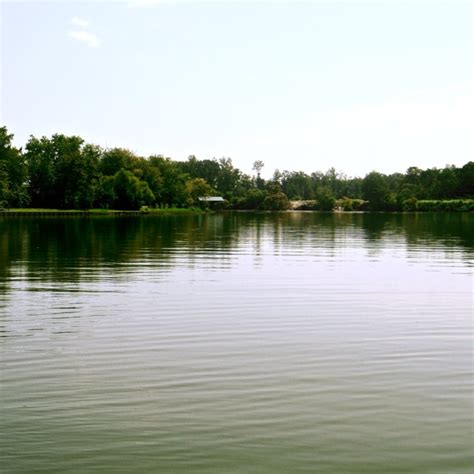 the water is calm and green with trees in the background