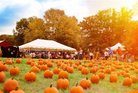 Fall Events in the Smokies You Don’t Want to Miss | Visit Sevierville