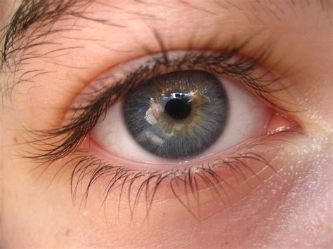 Multi-colored eye | Hannah's eye. | Nicholas Petrone | Flickr