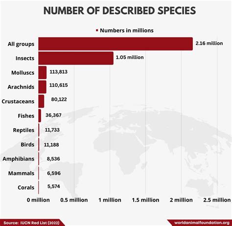 Population Of Animals