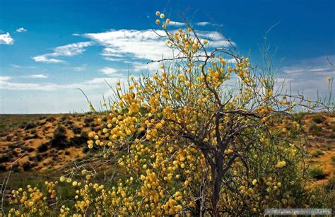 The landscapes of Kazakhstan steppe · Kazakhstan travel and tourism blog