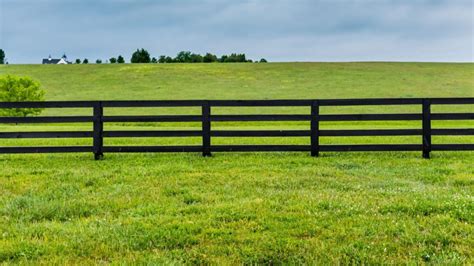 What is the Best Horse Fencing: Wood Board or Woven Wire?