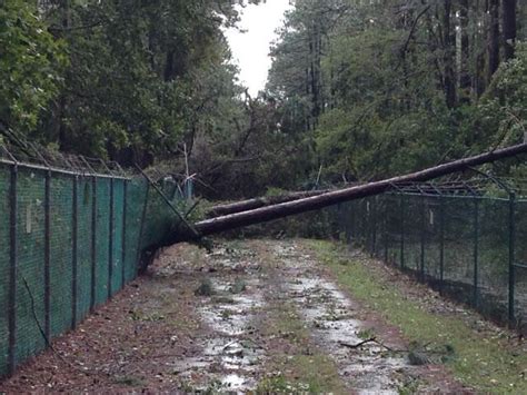 FLETC Recovery from Hurricane Matthew -- 305-109 (DO/PCO) | Federal Law Enforcement Training Centers